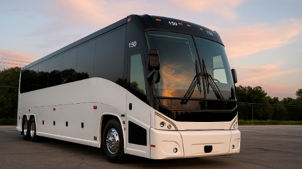 lake charles bachelor and bachelorette party bus rentals