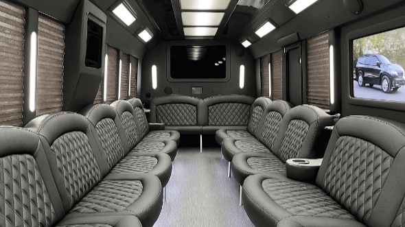 new orleans 20 passenger party bus interior